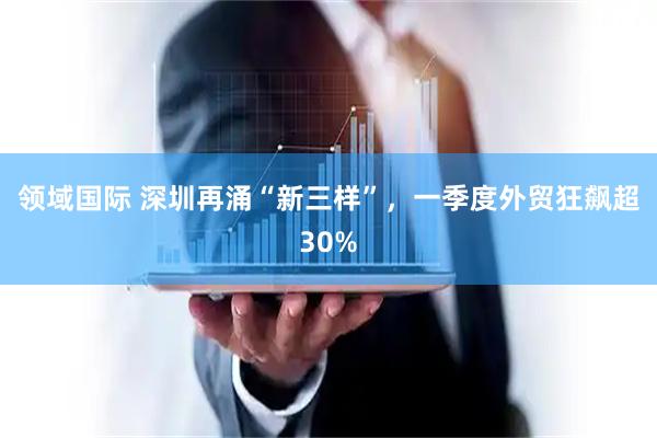 领域国际 深圳再涌“新三样”，一季度外贸狂飙超30%