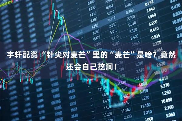 宇轩配资 “针尖对麦芒”里的“麦芒”是啥？竟然还会自己挖洞！